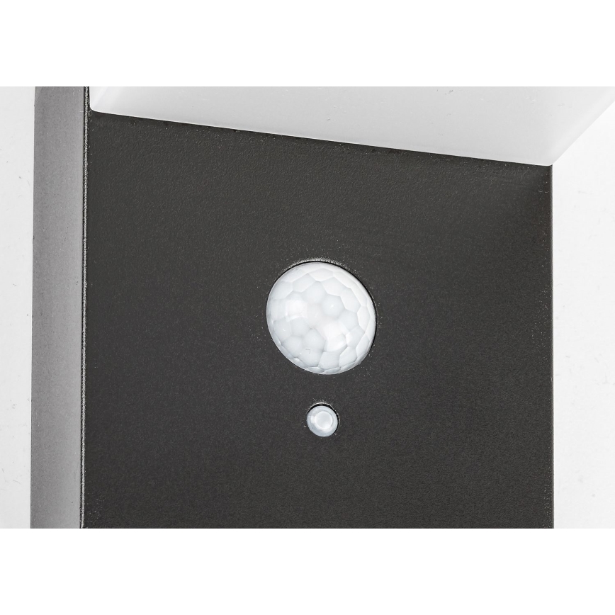 Rabalux - LED Соларна лампа със сензор LED/6W/3,7V IP44