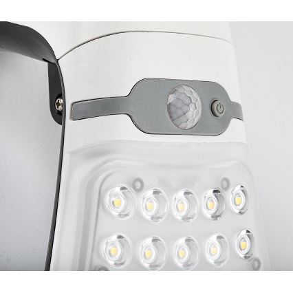 Rabalux - LED Димируема соларна лампа със сензор LED/4W/3,7V IP44