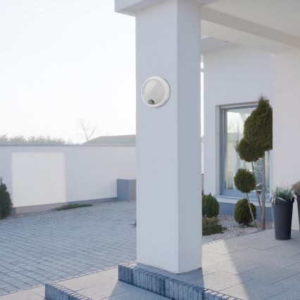 Rabalux - LED Екстериорен аплик със сензор LED/15W/230V IP54
