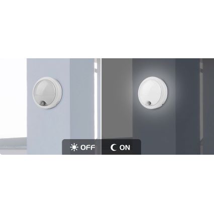 Rabalux - LED Екстериорен аплик със сензор LED/15W/230V IP54