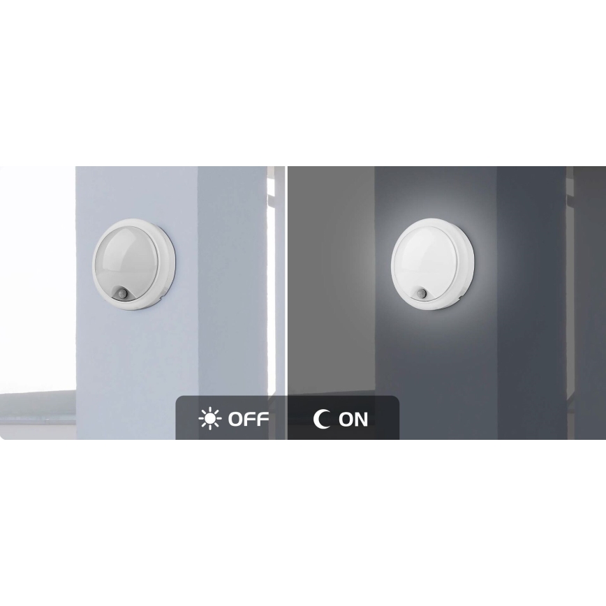 Rabalux - LED Екстериорен аплик със сензор LED/15W/230V IP54