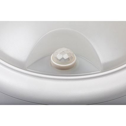 Rabalux - LED Екстериорен аплик със сензор LED/15W/230V IP54