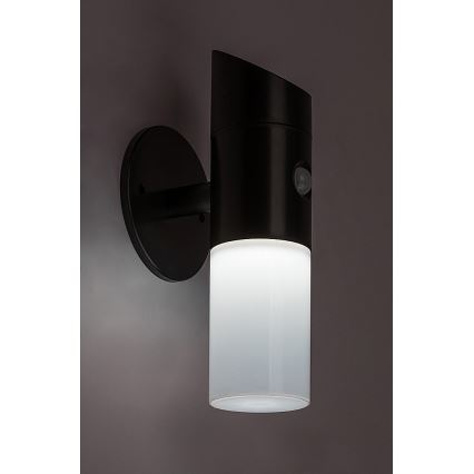 Rabalux - LED RGB соларен стенен фенер с сензор LED/1W/3,7V IP44 черен 1200 mAh