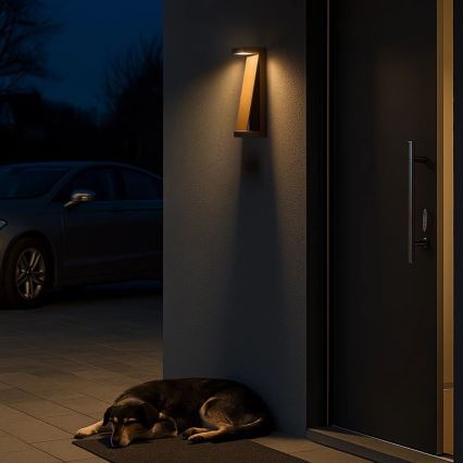 Rabalux - Външно стенно LED осветително тяло LED/13W/230V IP65 кафяво