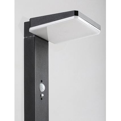Rabalux - LED регулируема соларна външна лампа със сензор LED/4,4W/3,7V IP54 антрацит 2200 mAh