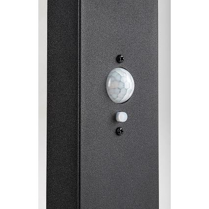 Rabalux - LED регулируема соларна външна лампа със сензор LED/4,4W/3,7V IP54 антрацит 2200 mAh
