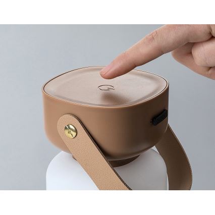 Rabalux - LED Екстериорна димируема сензорна акумулаторна настолна лампа LED/3W/5V IP44 кафяв