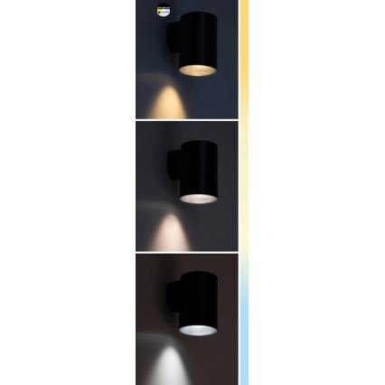 Rabalux - LED Екстериорен аплик LED/18W/230V 2700/4000/6500K IP65 черен