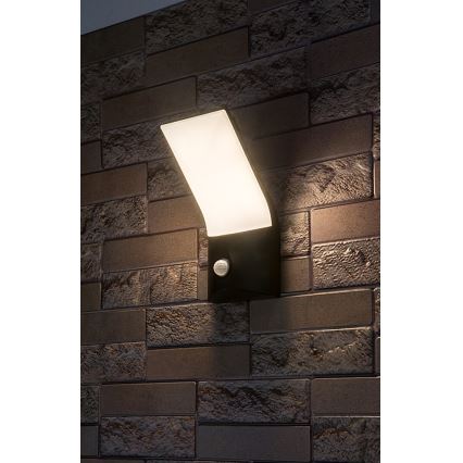 Rabalux - LED Екстериорен аплик със сензор LED/10W/230V IP54