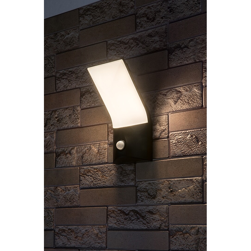 Rabalux - LED Екстериорен аплик със сензор LED/10W/230V IP54