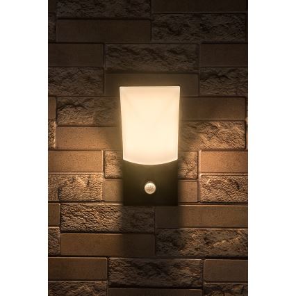 Rabalux - LED Екстериорен аплик със сензор LED/10W/230V IP54