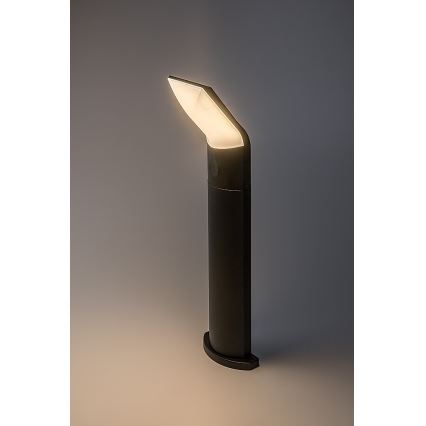 Rabalux - LED Екстериорна лампа LED/10W/230V IP54