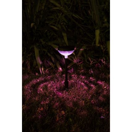 Rabalux - LED RGB Соларна лампа LED/0,1W/1,2V 600mAh IP44