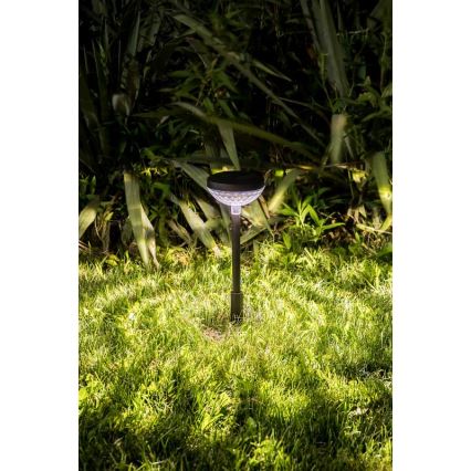 Rabalux - LED RGB Соларна лампа LED/0,1W/1,2V 600mAh IP44