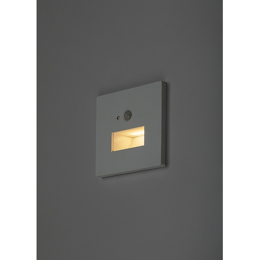Rabalux - LED стълбищно осветително тяло със сензор за движение и сумрак LED/1W/230V 3000/4500/6500K бяло