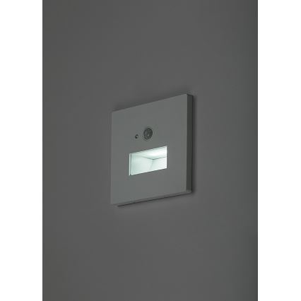 Rabalux - LED стълбищно осветително тяло със сензор за движение и сумрак LED/1W/230V 3000/4500/6500K бяло