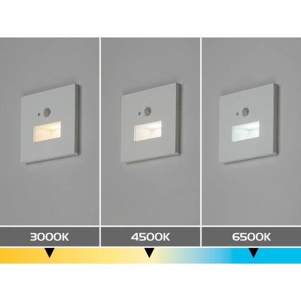 Rabalux - LED стълбищно осветително тяло със сензор за движение и сумрак LED/1W/230V 3000/4500/6500K бяло