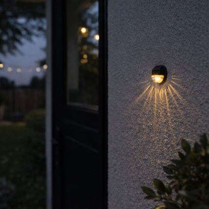 Rabalux - Комплект от 2 соларни LED стенни лампи LED/0,06W/1,2V 300 mAh IP44