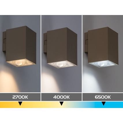 Rabalux - LED външно стенно осветително тяло LED/9W/230V 2700/4000/6500K IP65