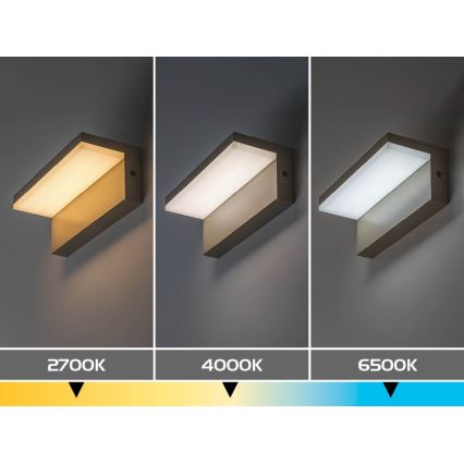 Rabalux - Външно стенно LED осветително тяло LED/9W/230V IP54 бежово