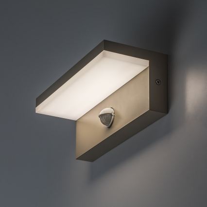 Rabalux - LED външно стенно осветително тяло с вграден сензор LED/9W/230V IP54 бежово
