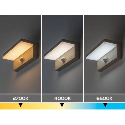 Rabalux - LED външно стенно осветително тяло с вграден сензор LED/9W/230V IP54 бежово