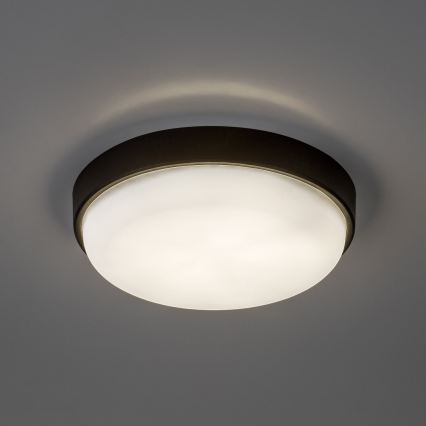 Rabalux - LED външно таванно осветително тяло LED/14W/230V IP54 черно