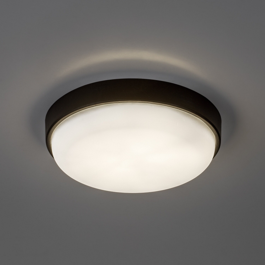 Rabalux - LED външно таванно осветително тяло LED/14W/230V IP54 черно