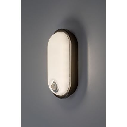 Rabalux - LED Външно таванно осветително тяло със сензор LED/15W/230V IP65 черно