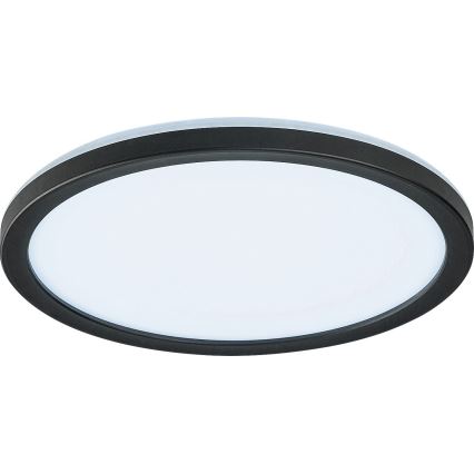 Rabalux - LED Димируема екстериорна лампа LED/15W/230V Wi-Fi Tuya 2700-6500K IP44 + дистанционно