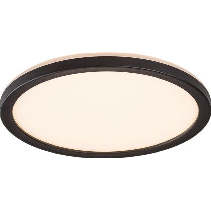 Rabalux - LED Димируема екстериорна лампа LED/15W/230V Wi-Fi Tuya 2700-6500K IP44 + дистанционно