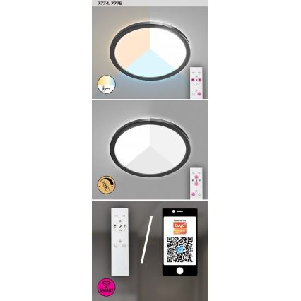 Rabalux - LED Димируема екстериорна лампа LED/15W/230V Wi-Fi Tuya 2700-6500K IP44 + дистанционно