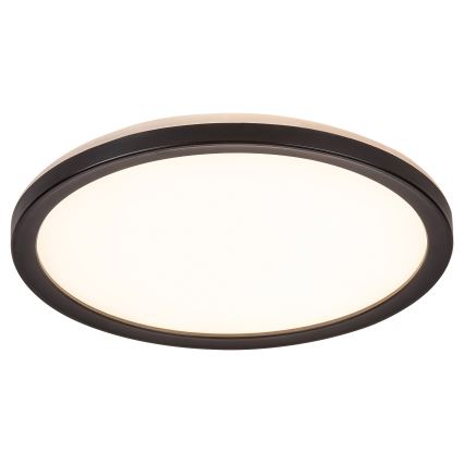 Rabalux - LED Димируема екстериорна лампа LED/15W/230V Wi-Fi Tuya 2700-6500K IP44 + дистанционно