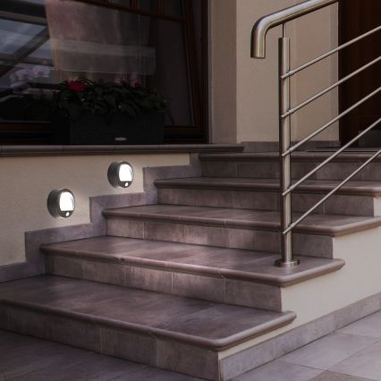 Rabalux - LED Екстериорна Стенна лампа със сензор LED/1,5W/3xAA  IP44