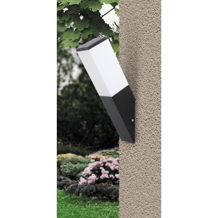 Rabalux - Екстериорна Стенна лампа 1xE27/60W/230V IP44