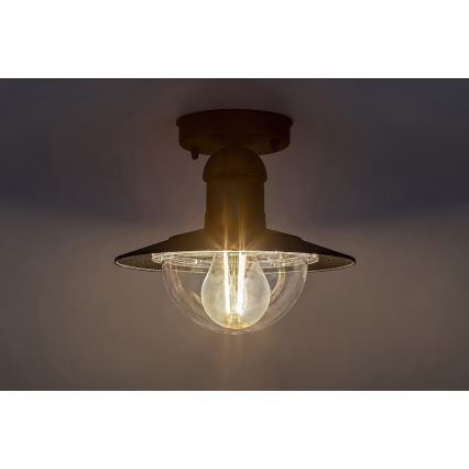 Rabalux - Екстериорна Лампа за таван 1xE27/60W IP44