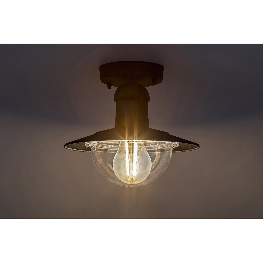Rabalux - Екстериорна Лампа за таван 1xE27/60W IP44