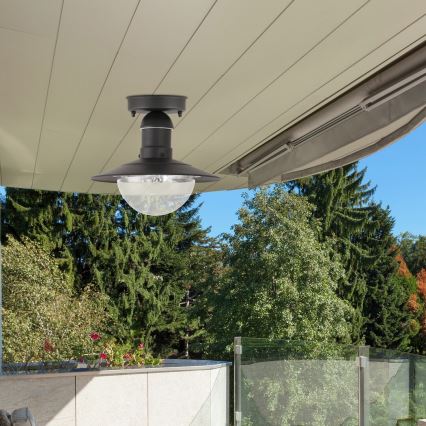 Rabalux - Екстериорна Лампа за таван 1xE27/60W IP44