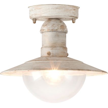 Rabalux - Екстериорна Лампа за таван 1xE27/60W IP44