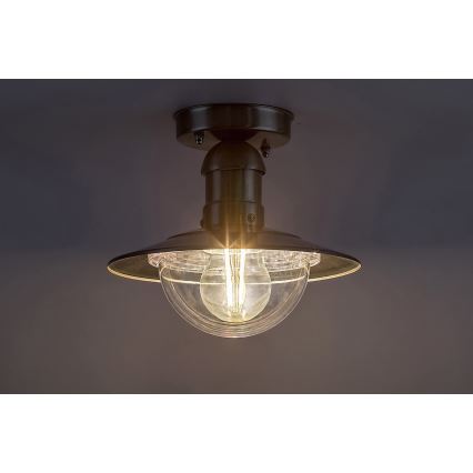 Rabalux - Екстериорна Лампа за таван 1xE27/60W IP44