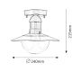 Rabalux - Екстериорна Лампа за таван 1xE27/60W IP44