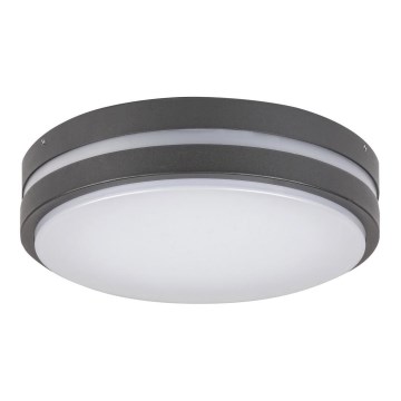 Rabalux 8847 - LED Екстериорна Стенна лампа HAMBURG LED/10W/230V IP44
