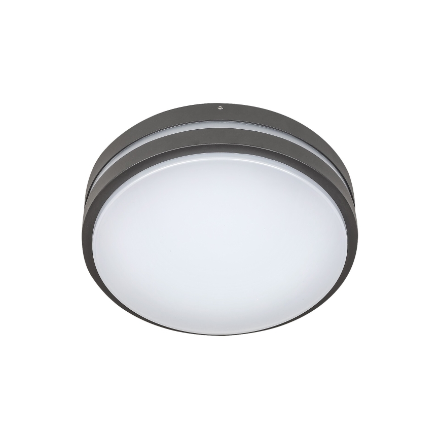 Rabalux 8847 - LED Екстериорна Стенна лампа HAMBURG LED/10W/230V IP44