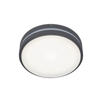 Rabalux 8847 - LED Екстериорна Стенна лампа HAMBURG LED/10W/230V IP44