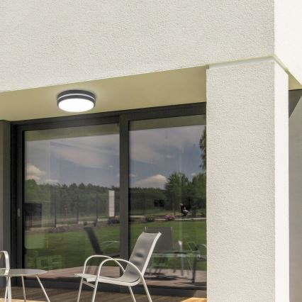 Rabalux 8848 - LED Екстериорна Стенна лампа HAMBURG LED/12W/230V IP44