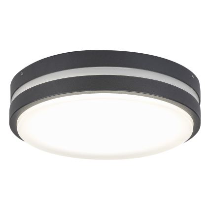 Rabalux 8848 - LED Екстериорна Стенна лампа HAMBURG LED/12W/230V IP44