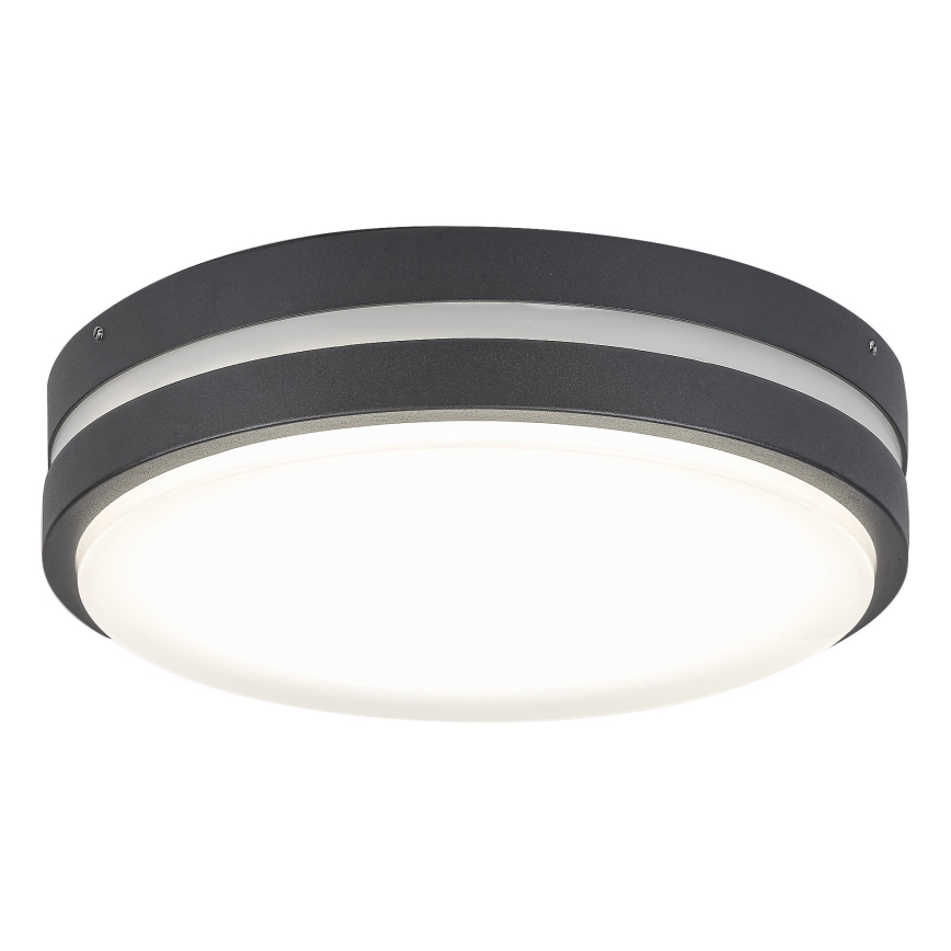 Rabalux 8848 - LED Екстериорна Стенна лампа HAMBURG LED/12W/230V IP44