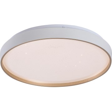 Rabalux - Димируем LED плафон LED/34W/230V 3000-6500K Ø 38 cm + дистанционно управление