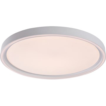 Rabalux - Димируема LED таванна лампа LED/31W/230V IP40 3000-6500K Ø 41,5 см + дистанционно управление