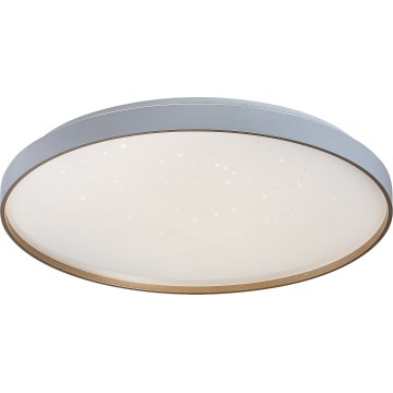 Rabalux - димируемо LED таванно осветително тяло LED/60W/230V 3000-6500K, диаметър 58 см + дистанционно управление